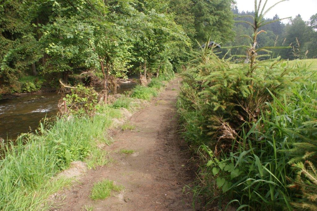Der Naturlehrpfad bei Käppels Flossteichen