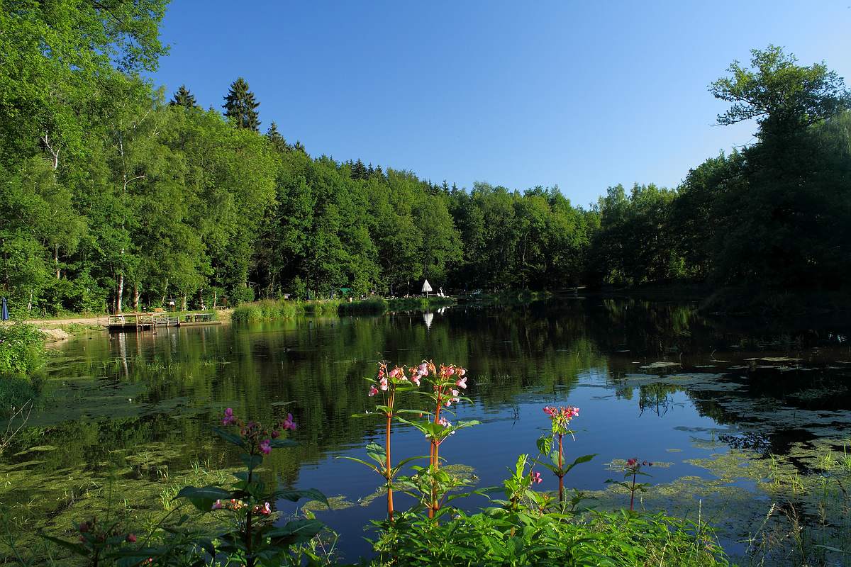 Zauberhafte Natur und Landschaftsbilder von Käppels Floßteichen