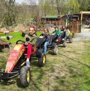 Tretgokarts an Käppels Floßteichen.