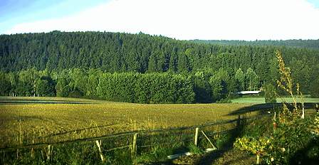 Blick von Schneidenbach auf den Buchwald