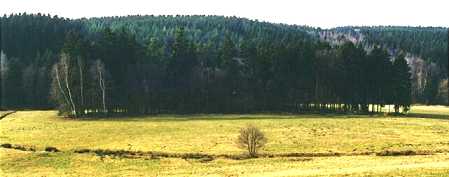 Raithaldenwald